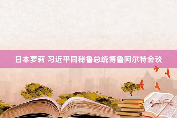日本萝莉 习近平同秘鲁总统博鲁阿尔特会谈
