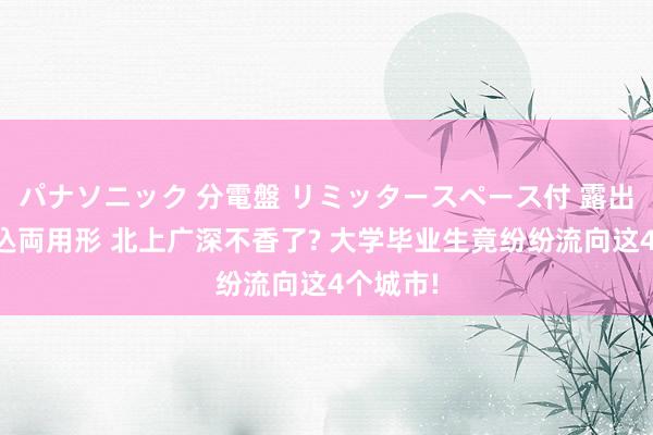 パナソニック 分電盤 リミッタースペース付 露出・半埋込両用形 北上广深不香了? 大学毕业生竟纷纷流向这4个城市!