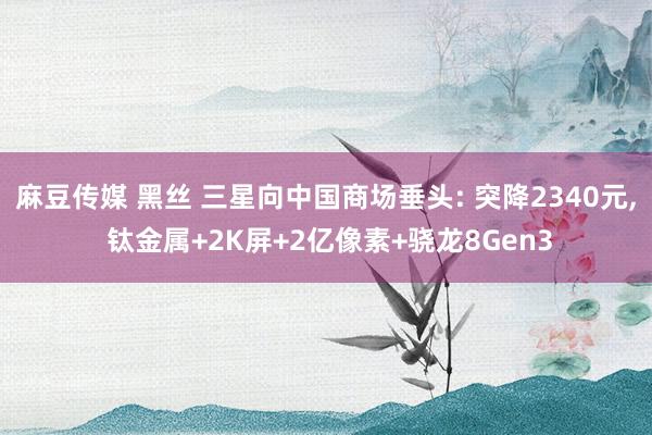 麻豆传媒 黑丝 三星向中国商场垂头: 突降2340元， 钛金属+2K屏+2亿像素+骁龙8Gen3