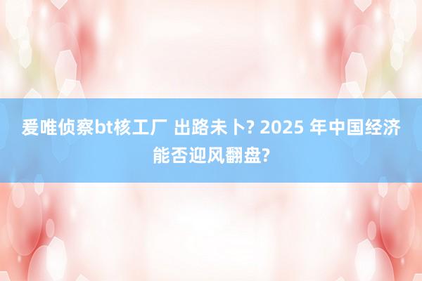 爰唯侦察bt核工厂 出路未卜? 2025 年中国经济能否迎风翻盘?