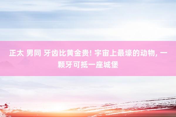 正太 男同 牙齿比黄金贵! 宇宙上最壕的动物， 一颗牙可抵一座城堡