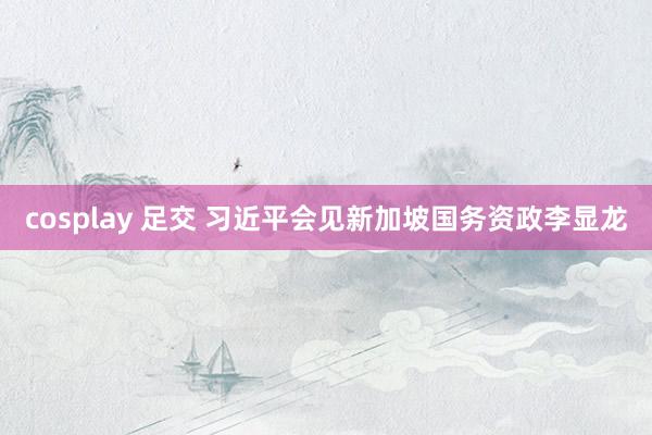 cosplay 足交 习近平会见新加坡国务资政李显龙
